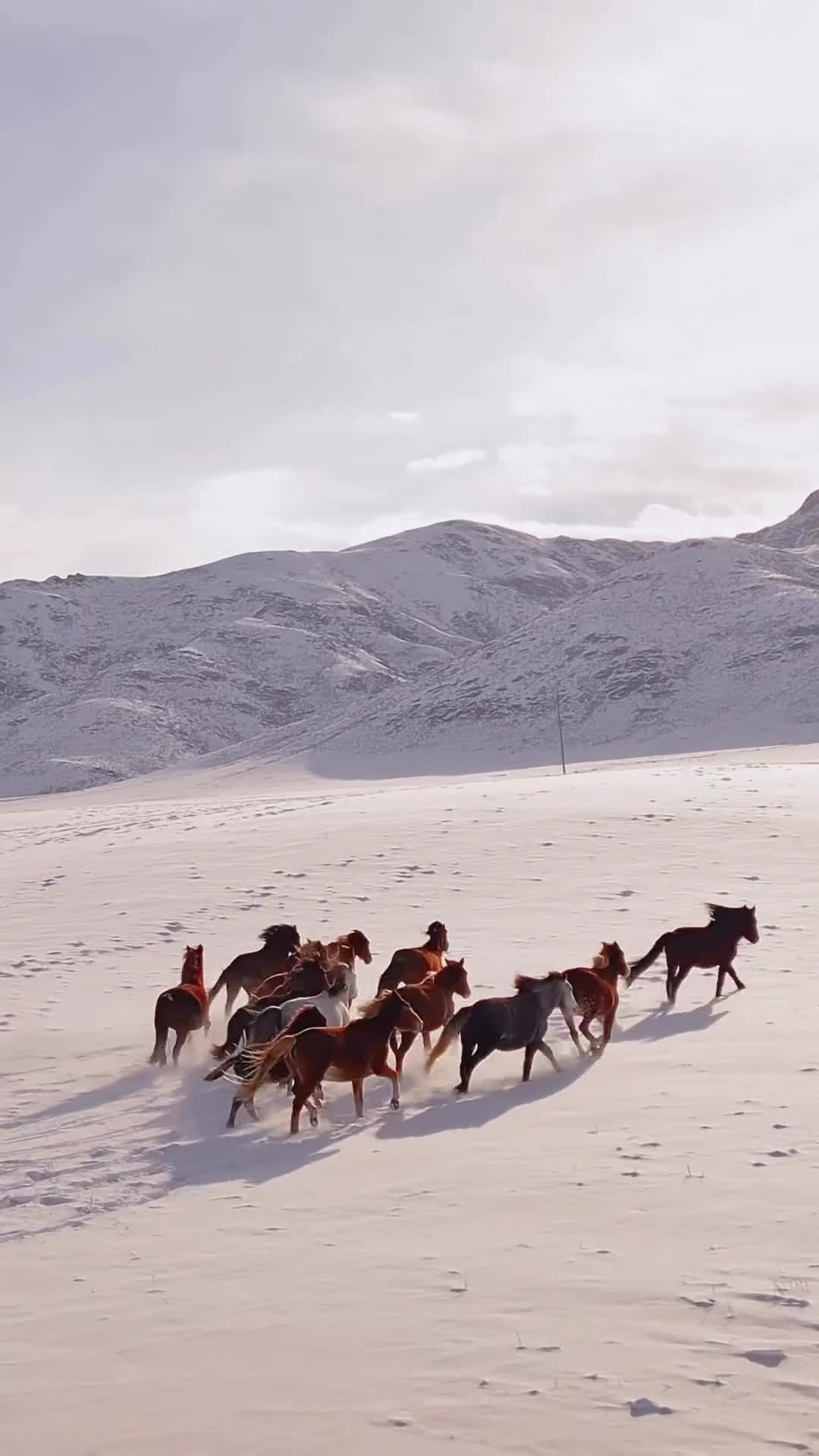 The squad as soon as someone says stop horsing around