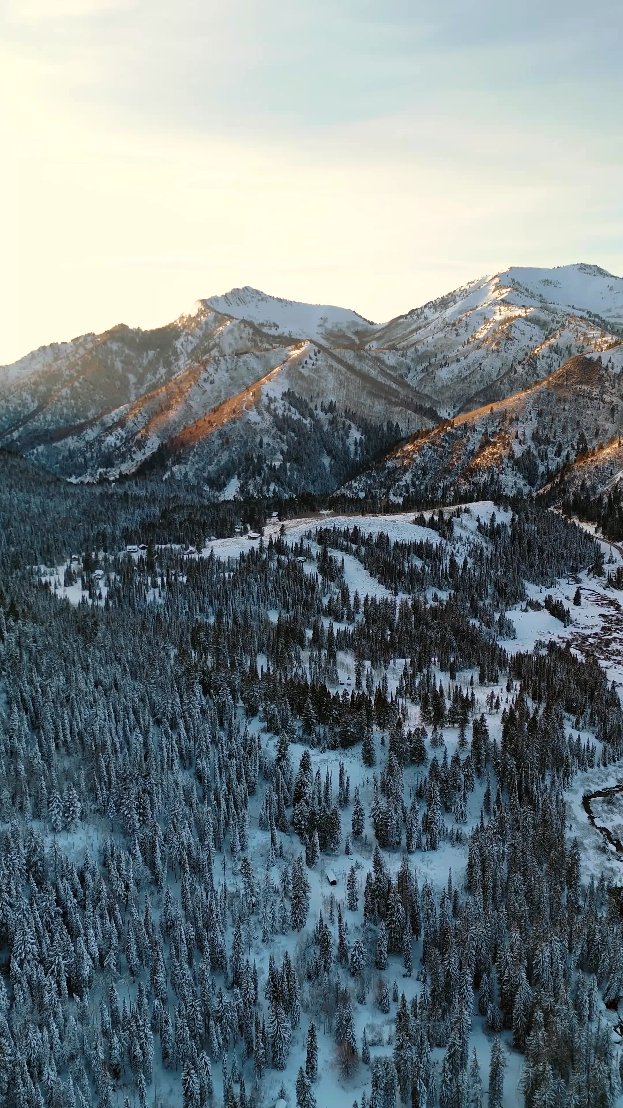 How u gon peak if u stick to the grind