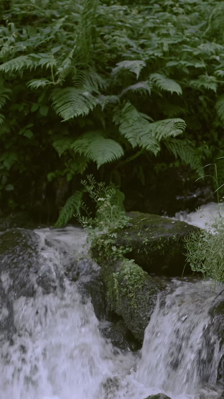 Same medicine as your ancestors